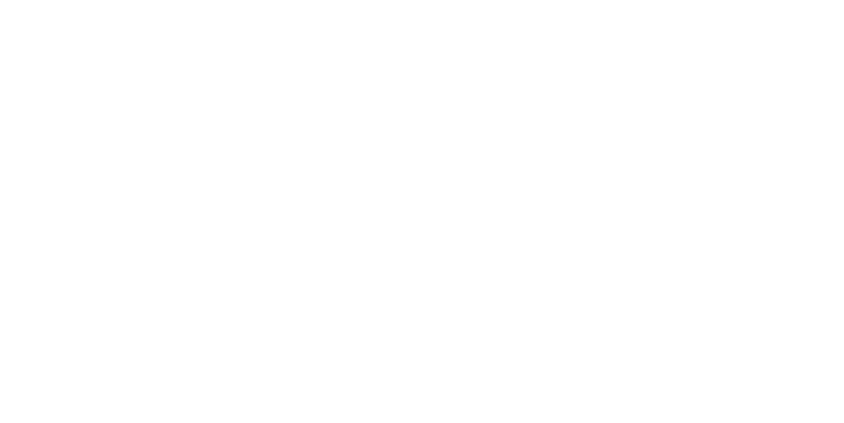 logo bcg on a white background