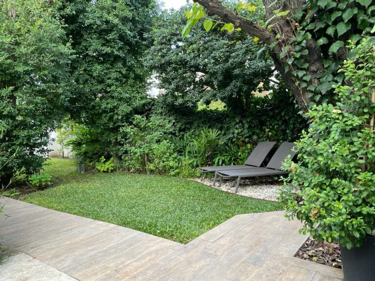 Decoration of the backyard